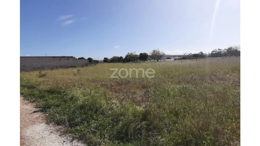 Terreno para Venda em Ereira