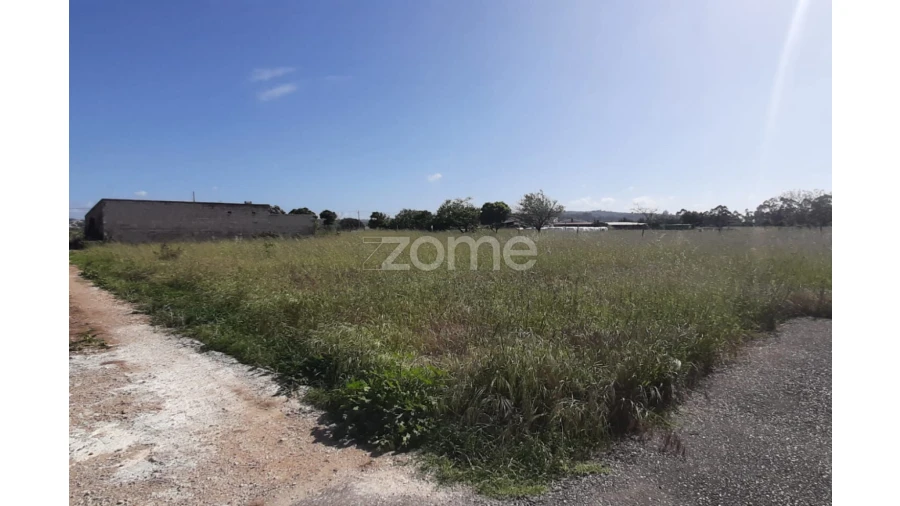 Terreno para Venda em Ereira Foto 9