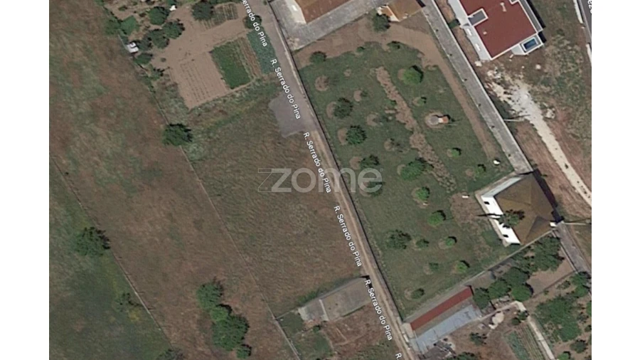 Terreno para Venda em Ereira Foto 10