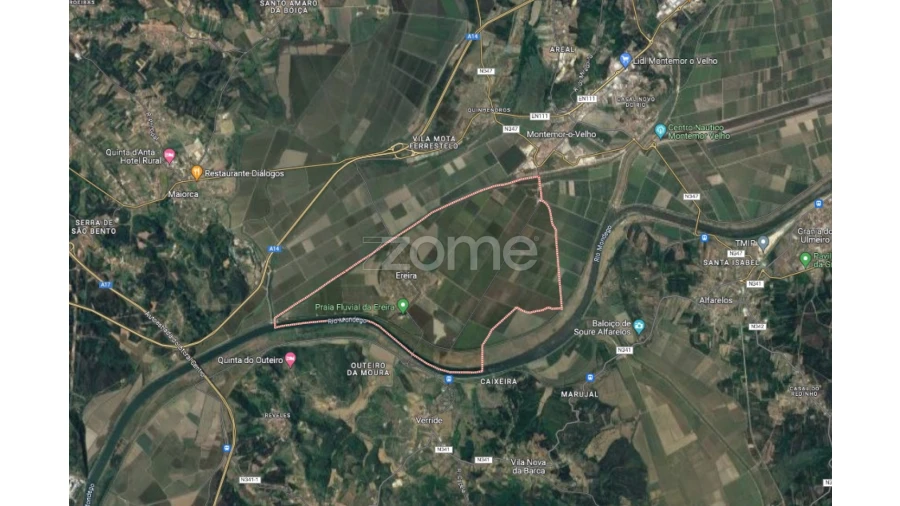 Terreno para Venda em Ereira Foto 12