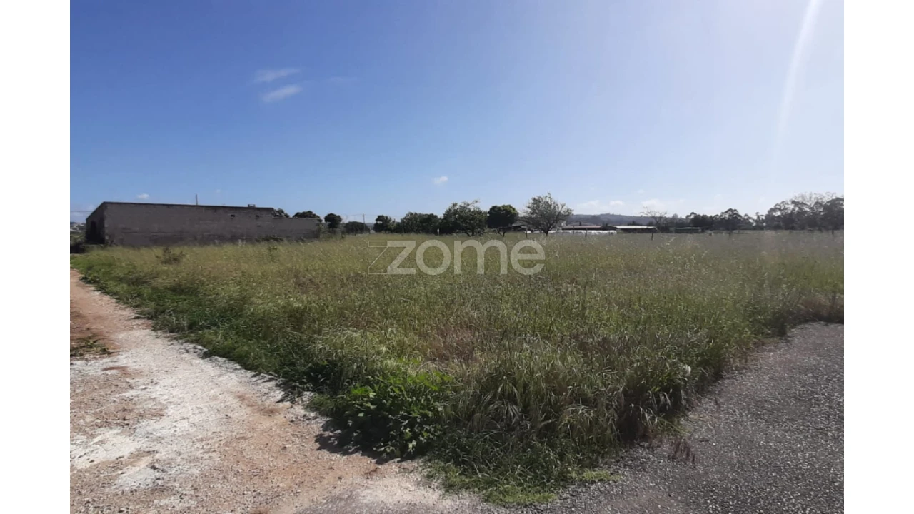 Terreno para Venda em Ereira Foto 9