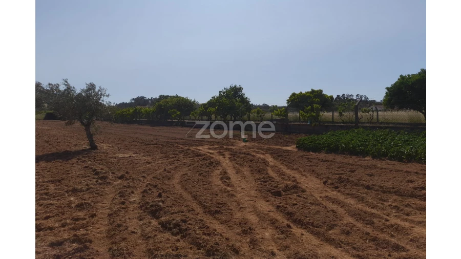 Terreno para Venda em Vermoil Foto 10