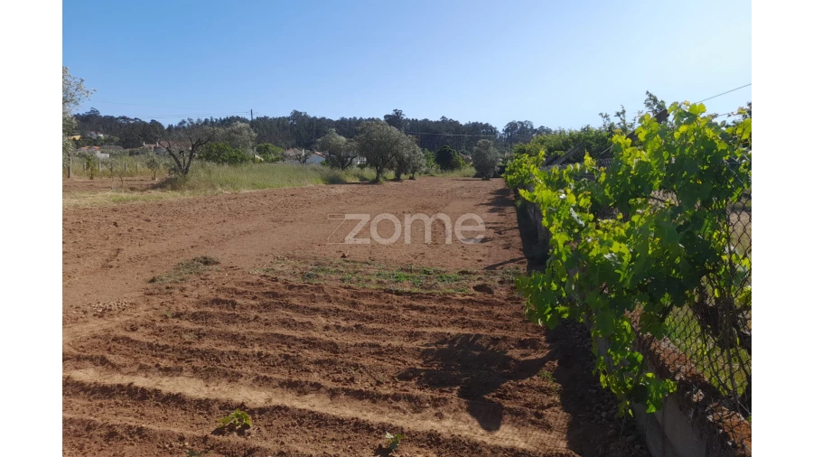 Terreno para Venda em Vermoil Foto 11