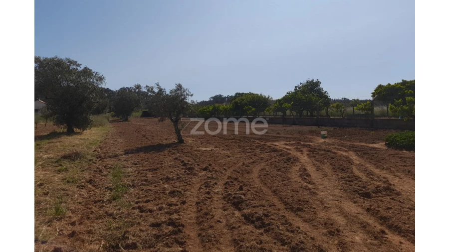 Terreno para Venda em Vermoil Foto 13