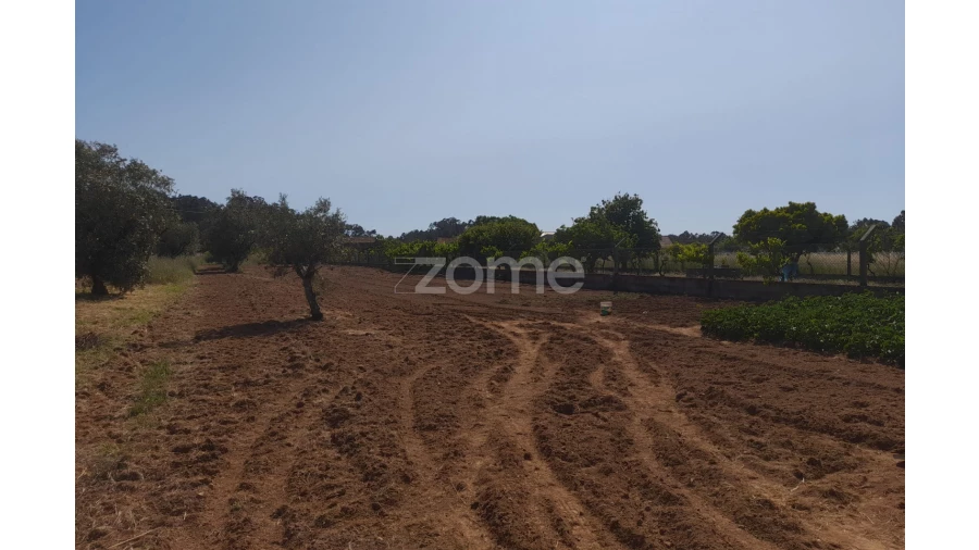 Terreno para Venda em Vermoil Foto 6