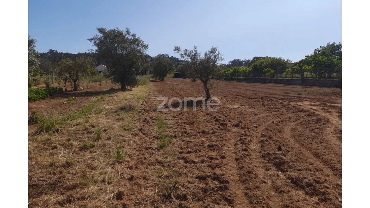 Terreno para Venda em Vermoil Foto 12