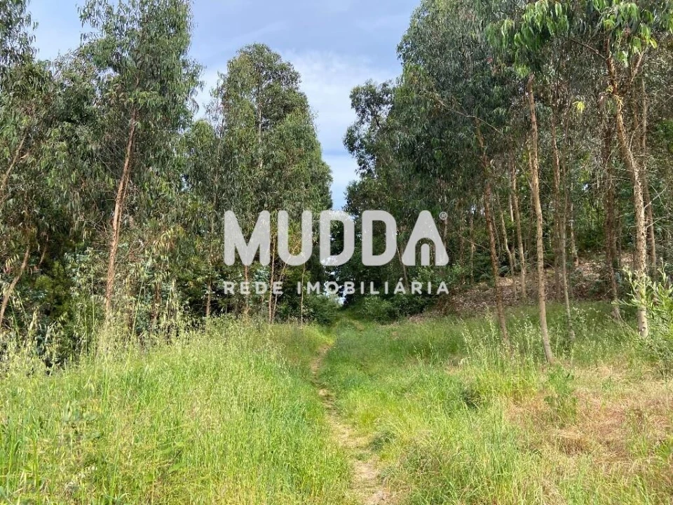 Terreno para Venda em Sandim, Olival, Lever e Crestuma Foto 2