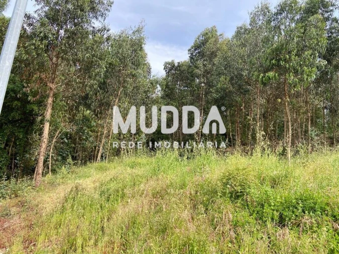 Terreno para Venda em Sandim, Olival, Lever e Crestuma Foto 3