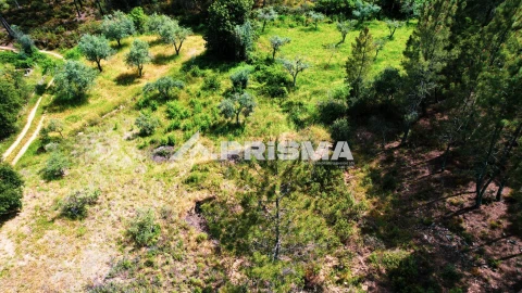 Terreno para Venda em Sarzedas