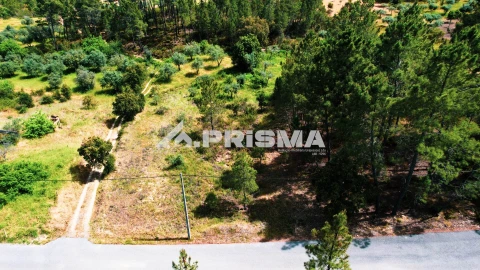 Terreno para Venda em Sarzedas