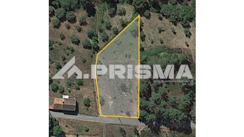 Terreno para Venda em Sarzedas