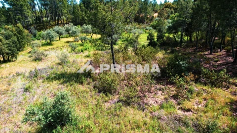 Terreno para Venda em Sarzedas