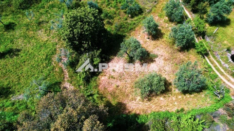 Terreno para Venda em Sarzedas