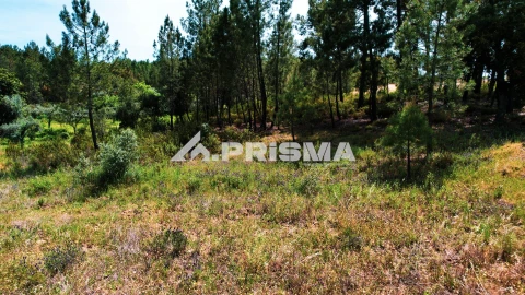 Terreno para Venda em Sarzedas