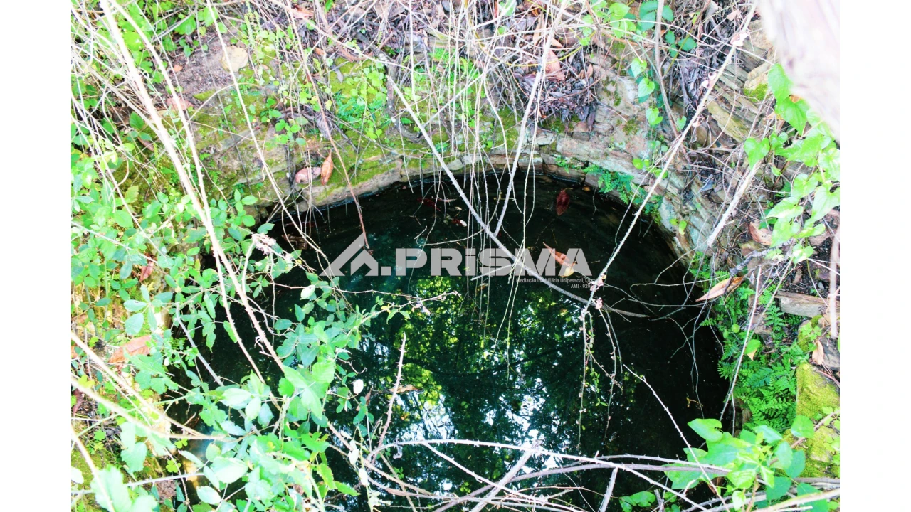 Terreno para Venda em Sarzedas Foto 14
