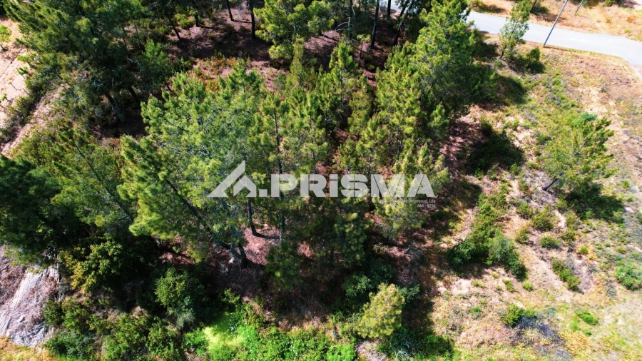 Terreno para Venda em Sarzedas Foto 3