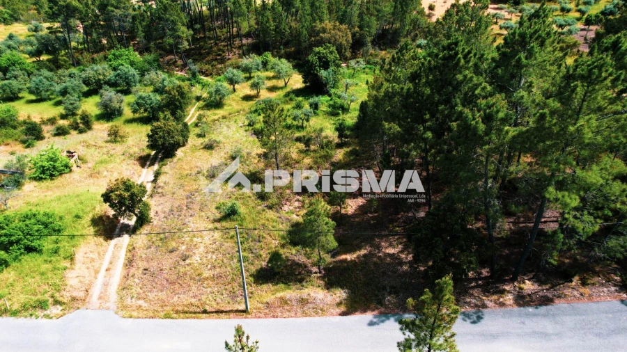 Terreno para Venda em Sarzedas Foto 13