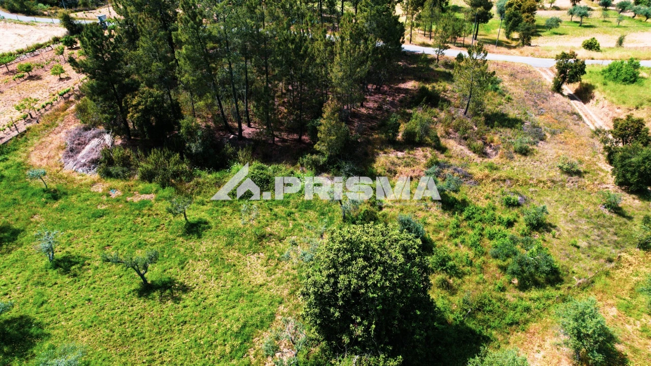 Terreno para Venda em Sarzedas Foto 1