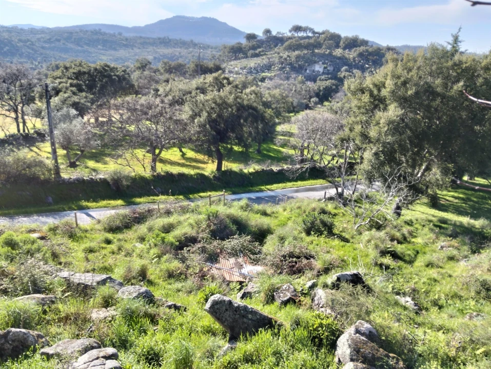 Quinta T7 para Venda em Santa Maria de Marvão Foto 30