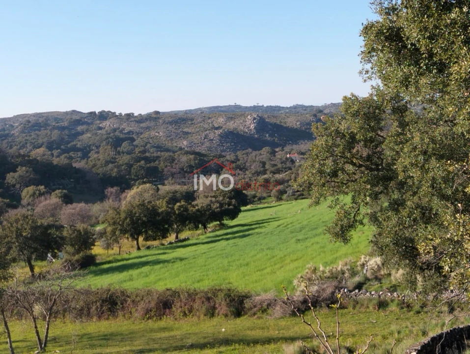 Quinta T7 para Venda em Santa Maria de Marvão Foto 21