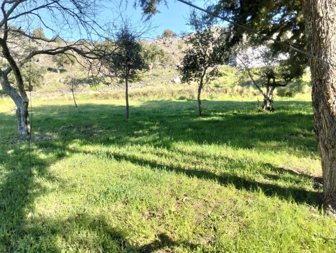 Quinta T7 para Venda em Santa Maria de Marvão Foto 29