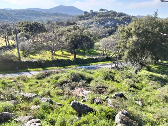 Quinta T7 para Venda em Santa Maria de Marvão Foto 30