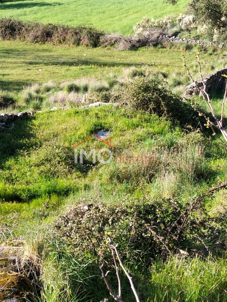 Quinta T7 para Venda em Santa Maria de Marvão Foto 25