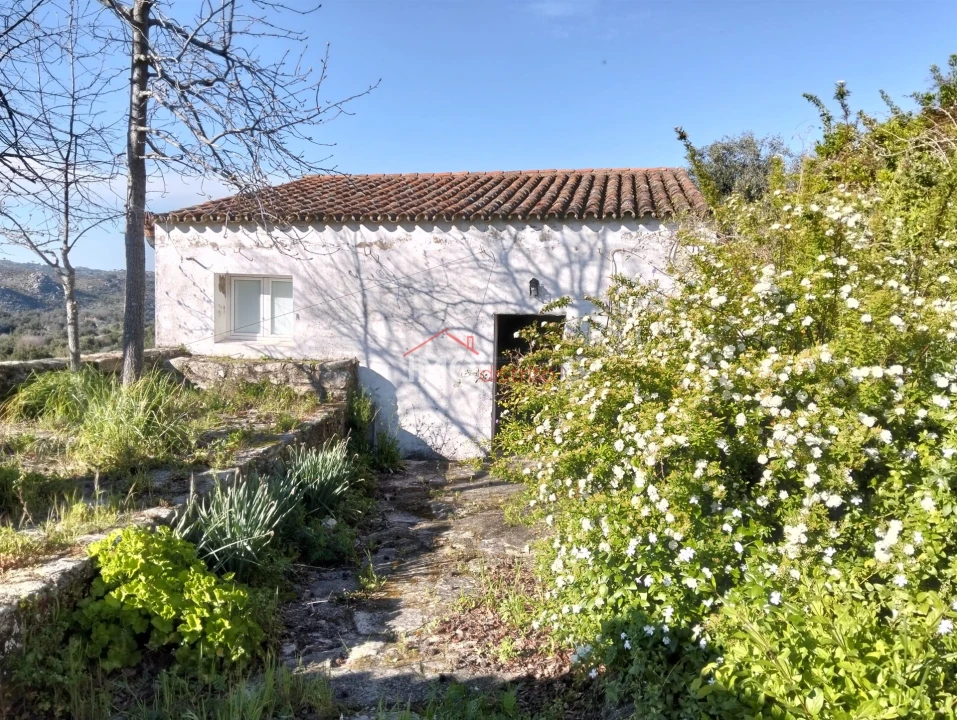 Quinta T7 para Venda em Santa Maria de Marvão Foto 14