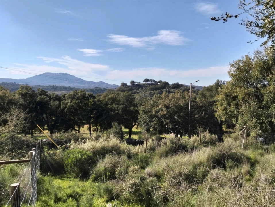 Quinta T7 para Venda em Santa Maria de Marvão Foto 28
