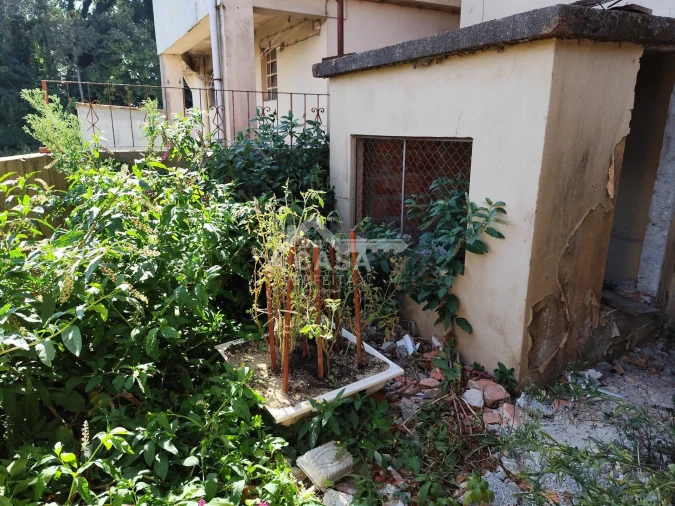 Moradia T3 para Venda em Macieira de Sarnes Foto 4