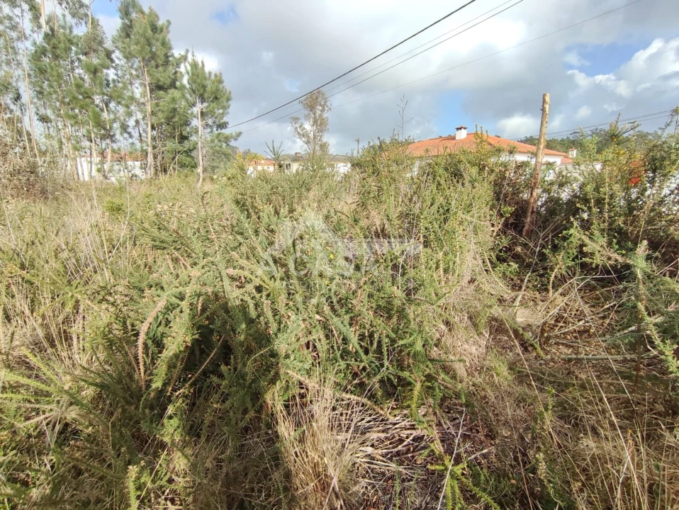 Terreno para Venda em São Martinho da Gandara Foto 3