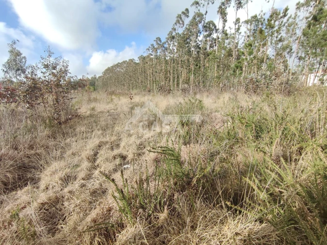 Terreno para Venda em São Martinho da Gandara Foto 4