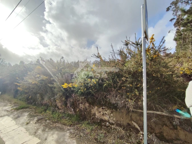 Terreno para Venda em São Martinho da Gandara Foto 2