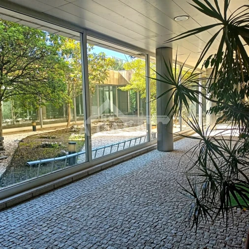 Loja para Arrendamento em Lordelo do Ouro e Massarelos Foto 3