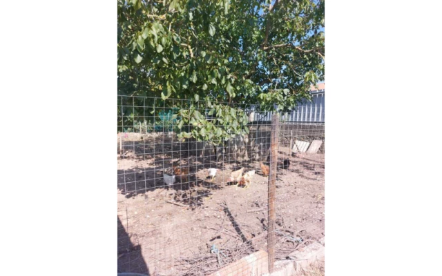 Quinta T0 para Venda em Maceira Foto 4