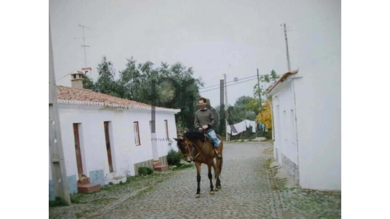 Quinta T0 para Venda em São Miguel do Pinheiro, São Pedro de Solis, São Sebastião dos Carros Foto 2