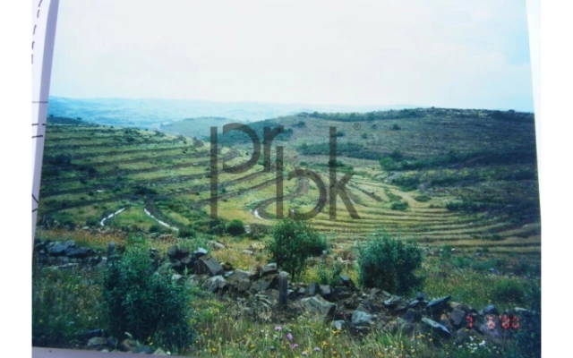 Quinta T0 para Venda em São Miguel do Pinheiro, São Pedro de Solis, São Sebastião dos Carros Foto 20