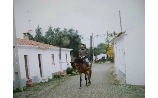 Quinta T0 para Venda em São Miguel do Pinheiro, São Pedro de Solis, São Sebastião dos Carros Foto 2