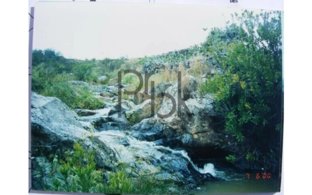 Quinta T0 para Venda em São Miguel do Pinheiro, São Pedro de Solis, São Sebastião dos Carros Foto 17