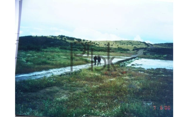 Quinta T0 para Venda em São Miguel do Pinheiro, São Pedro de Solis, São Sebastião dos Carros Foto 19