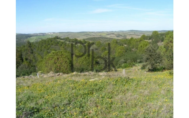 Quinta T0 para Venda em São Miguel do Pinheiro, São Pedro de Solis, São Sebastião dos Carros Foto 13