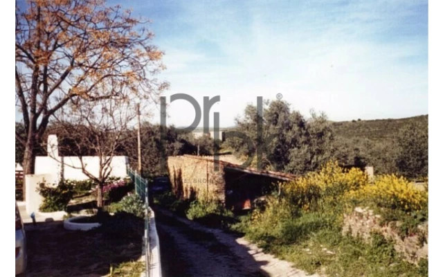 Quinta T0 para Venda em São Miguel do Pinheiro, São Pedro de Solis, São Sebastião dos Carros Foto 12