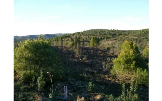 Quinta T0 para Venda em São Miguel do Pinheiro, São Pedro de Solis, São Sebastião dos Carros Foto 14