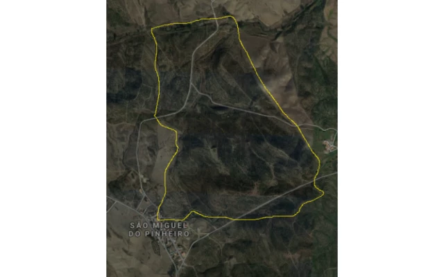 Quinta T0 para Venda em São Miguel do Pinheiro, São Pedro de Solis, São Sebastião dos Carros