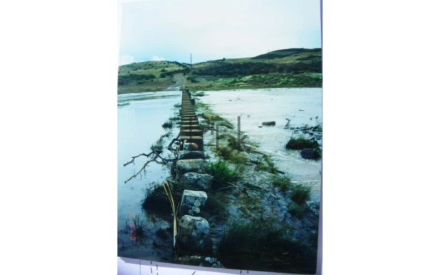 Quinta T0 para Venda em São Miguel do Pinheiro, São Pedro de Solis, São Sebastião dos Carros Foto 18
