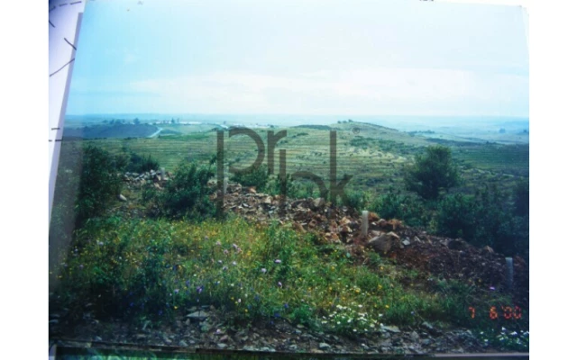 Quinta T0 para Venda em São Miguel do Pinheiro, São Pedro de Solis, São Sebastião dos Carros Foto 15