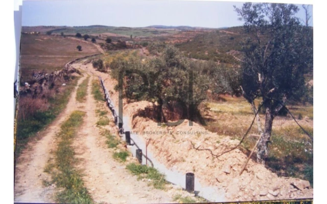 Quinta T0 para Venda em São Miguel do Pinheiro, São Pedro de Solis, São Sebastião dos Carros Foto 4