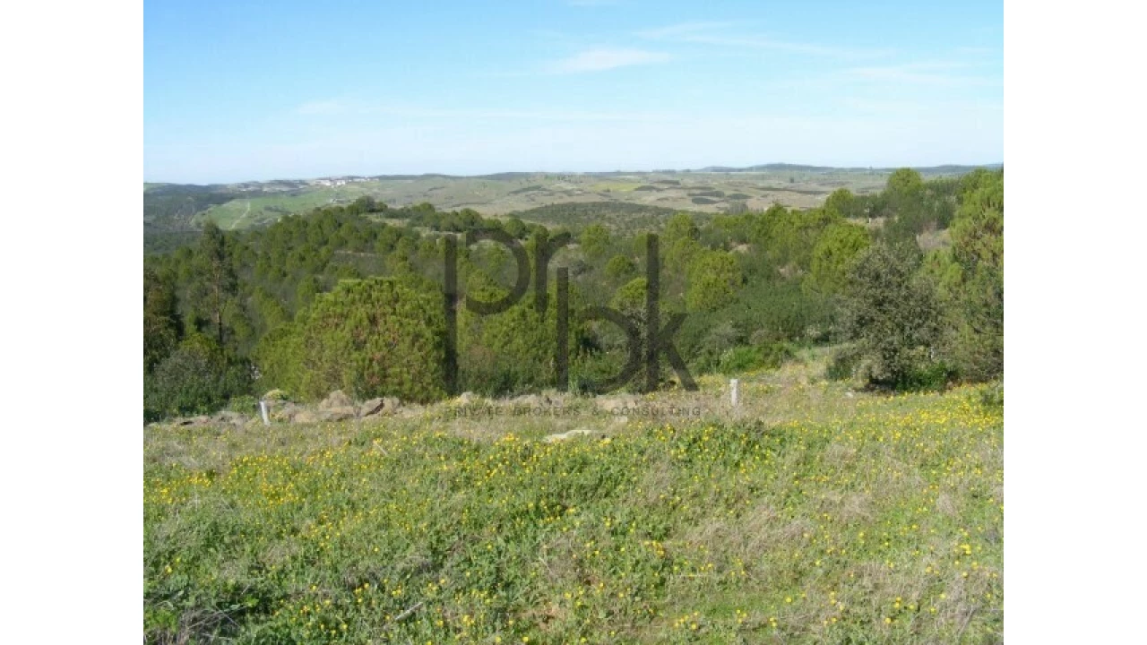 Quinta T0 para Venda em São Miguel do Pinheiro, São Pedro de Solis, São Sebastião dos Carros Foto 13