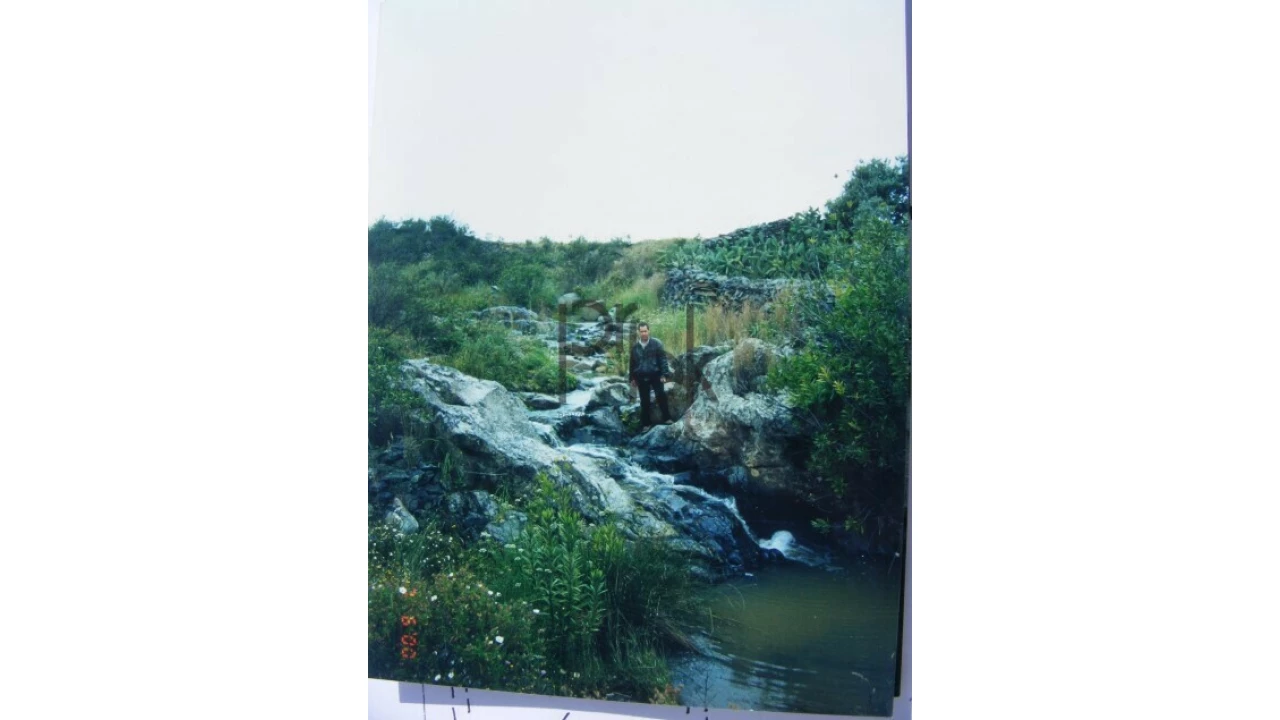 Quinta T0 para Venda em São Miguel do Pinheiro, São Pedro de Solis, São Sebastião dos Carros Foto 16