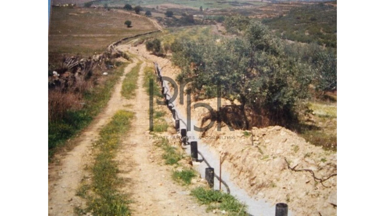 Quinta T0 para Venda em São Miguel do Pinheiro, São Pedro de Solis, São Sebastião dos Carros Foto 5